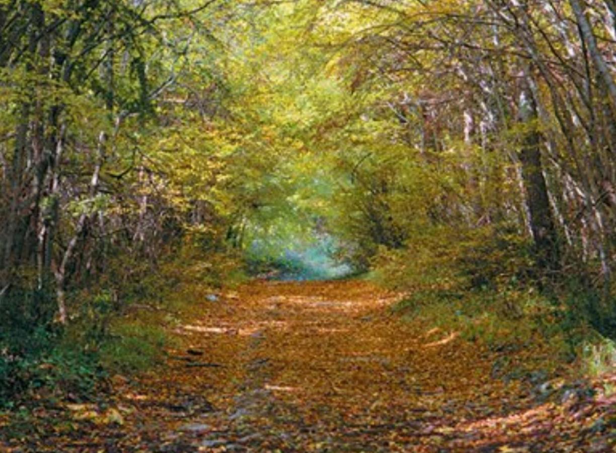 Kaiserwald Pula Buitenkant foto